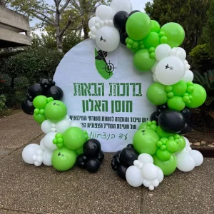 קיר צילום בלונים ממותג לאירועי חוץ
