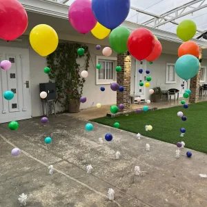 גשם זרי בלונים לפורים