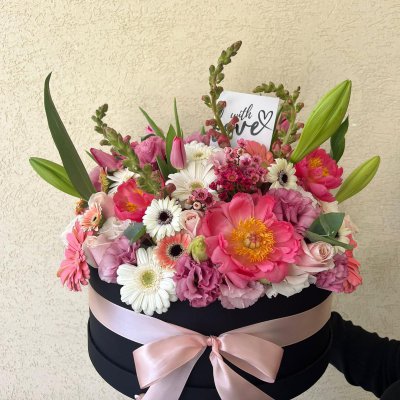 תמונה של WhatsApp‏ 2024-02-08 בשעה 18.00.02_fbc220be